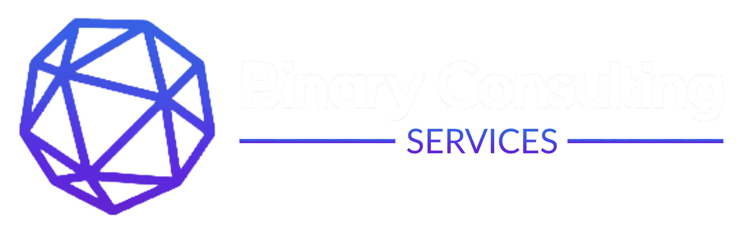 Binarybridge - Binary Consulting